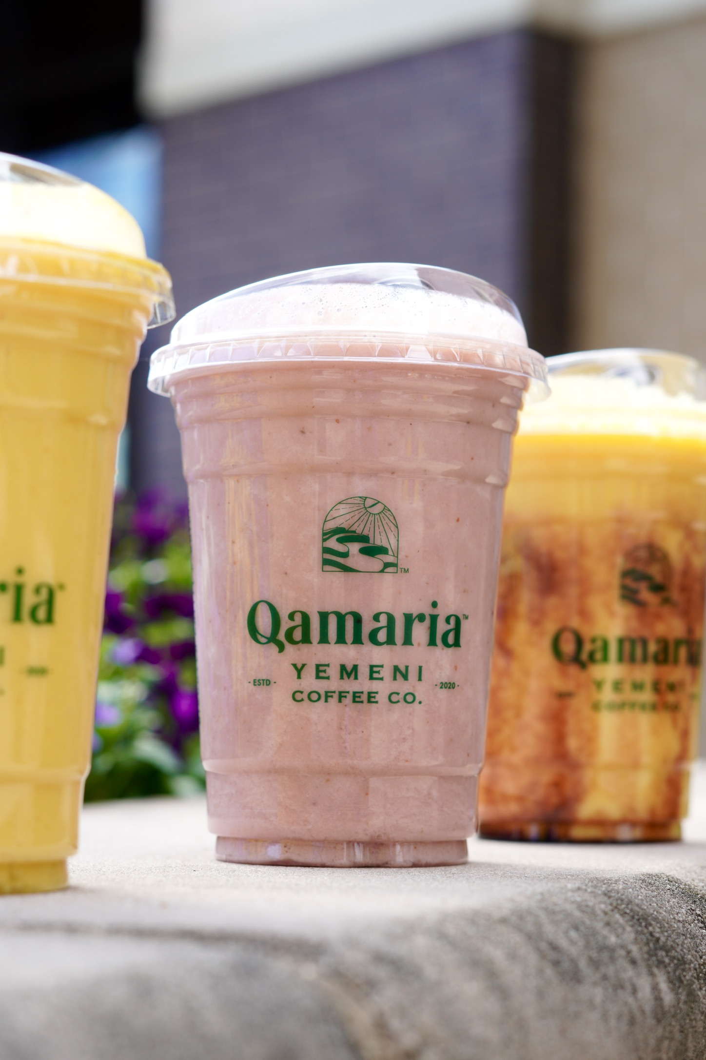 Qamaria Yemeni Coffee Co. — frame 16